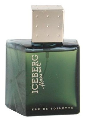 Iceberg Homme Eau De Toilette 100ml