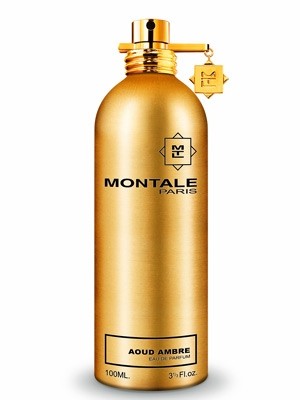 Montale Paris Aoud Ambre Eau de Parfum 100ml 