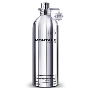 Montale Paris Embruns d'Essaouira Eau De Parfum 100 ml 